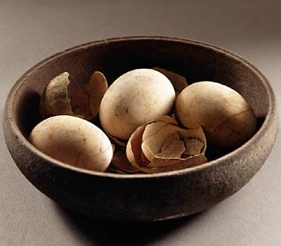 Świeże jajko w wodzie