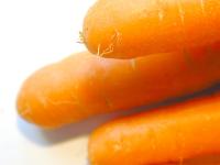 freeimages.co.uk food images