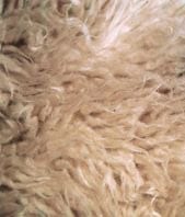 futrzak-dywan-pokrowiec