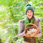 Woman with basket full of champignons in forest