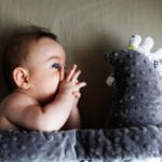 370x247_product_media_10001-11000_lamillou3