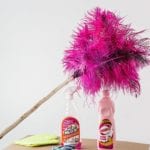 feather-duster-709124_1920-1