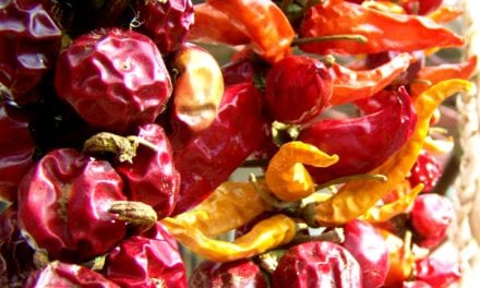 Popularne metody utrwalania żywności