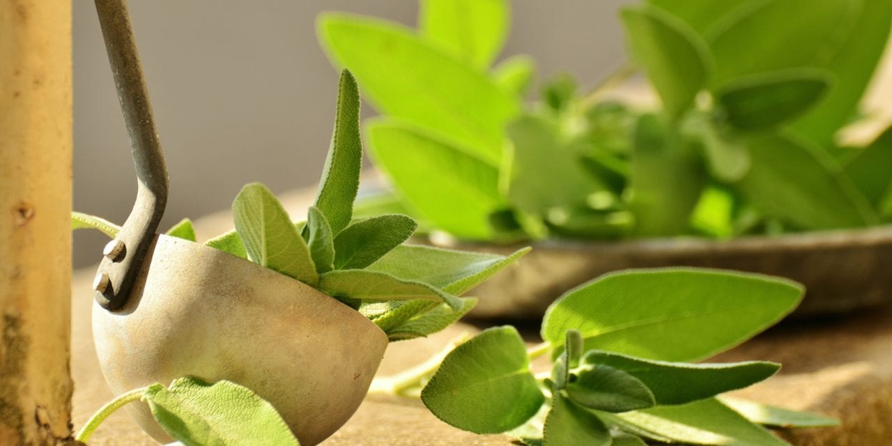 Sprawdzone sposoby na podrażnione i suche gardło