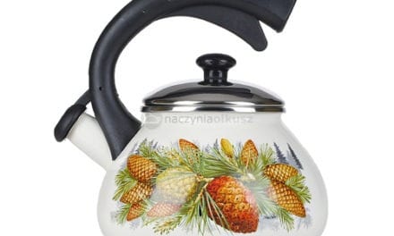 Wybór czajnika na indukcję