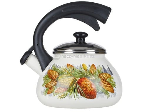 Wybór czajnika na indukcję