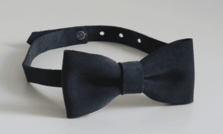 Muszka dla chłopca – na co zwrócić szczególną uwagę