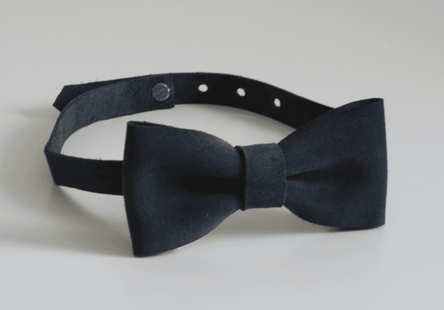 Muszka dla chłopca – na co zwrócić szczególną uwagę