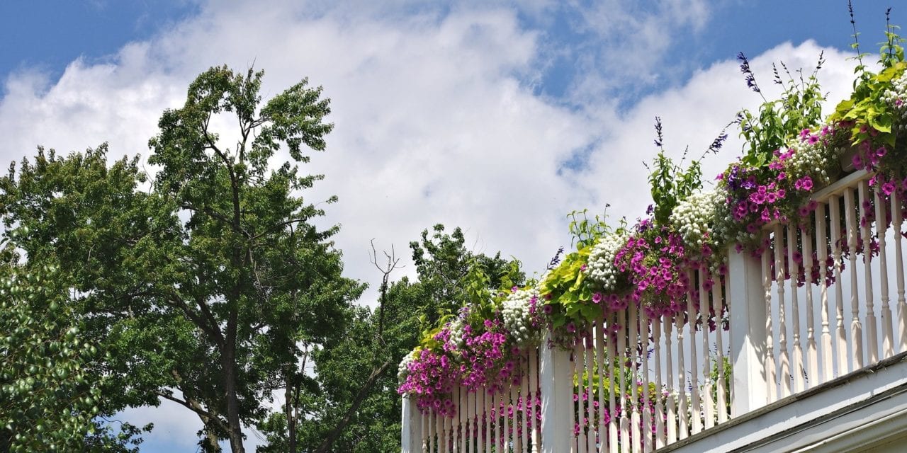 Zaczarowany ogród – zaczarowany balkon