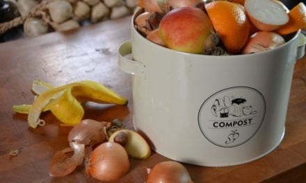 3 akcesoria ogrodnicze idealne na prezent