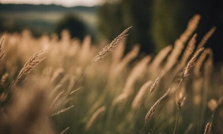 Jak Cieszyć Się Pięknem Ogrodu W Majówkę – Porady Ekologiczne