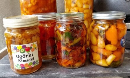 Zimowe przetwory – Jak przygotować się na wiosnę?
