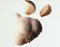 czosnek
