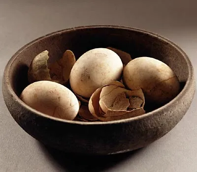 Świeże jajko w wodzie