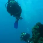 diving