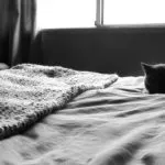 2309967128_99fa92ed0d