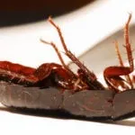 fotolia_3227468_subscription_m