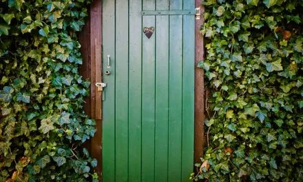 Oczyszczanie biologiczne przydomowych oczyszczalni ścieków i szamb