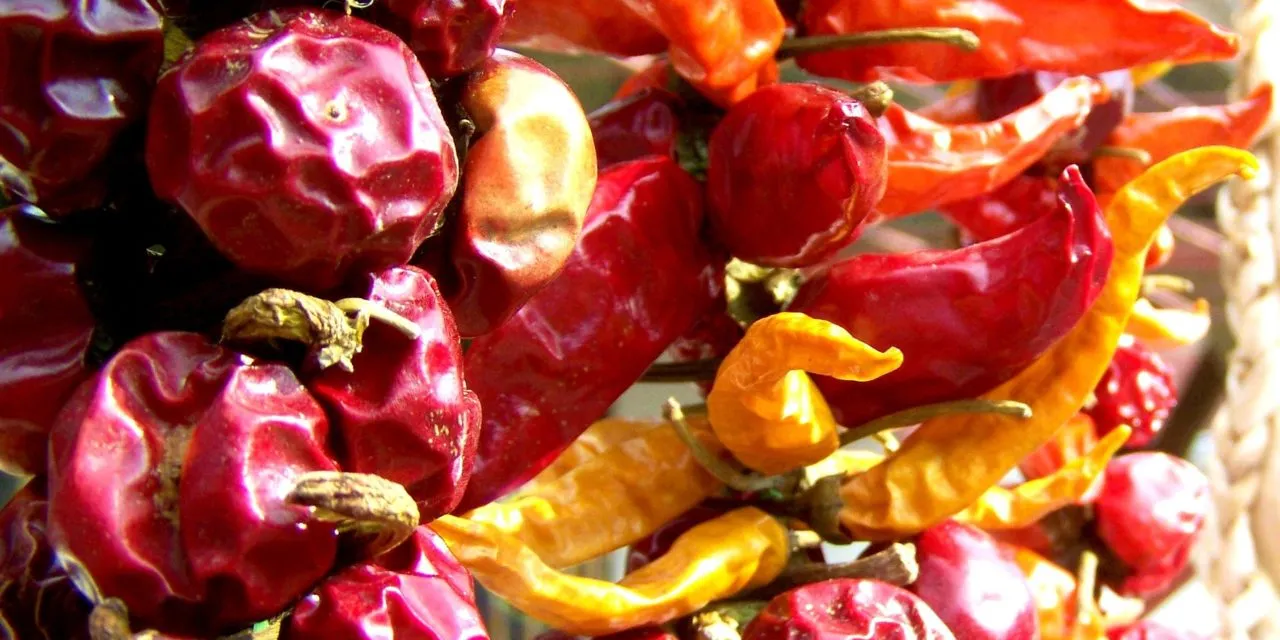 Popularne metody utrwalania żywności