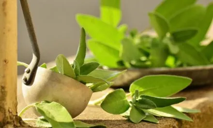 Sprawdzone sposoby na podrażnione i suche gardło