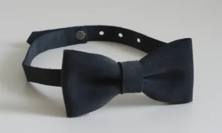 Muszka dla chłopca – na co zwrócić szczególną uwagę