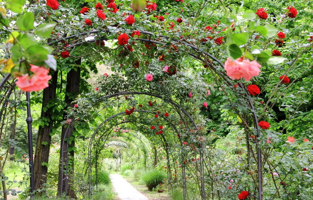 Pergola, fontanna, latarnie, czyli dekorujemy ogród