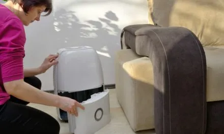 Grzyb w mieszkaniu – sprawdź jak radzić sobie z tym problemem