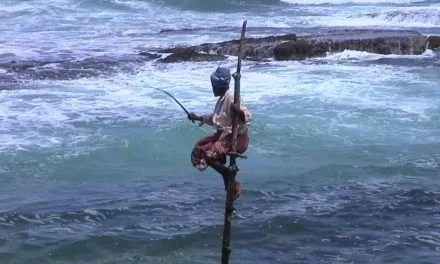 Sri Lanka wczasy, egzotyczne wakacje z biurem podróży.