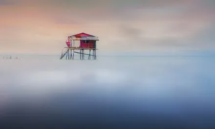 Ekologiczne dodatki do domu