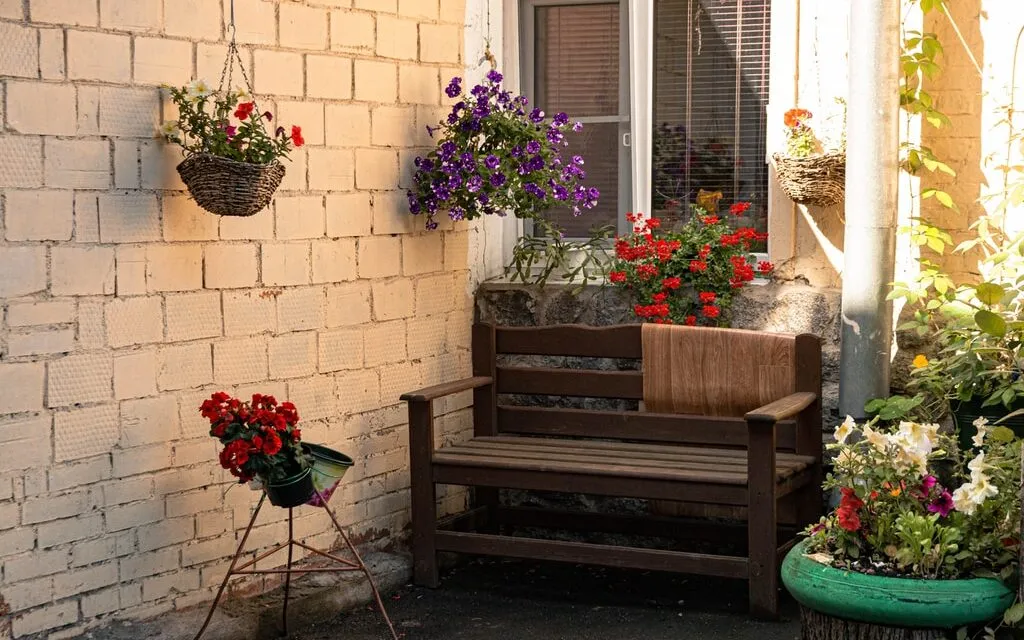 Styczniowy wysiew kwiatów – porady