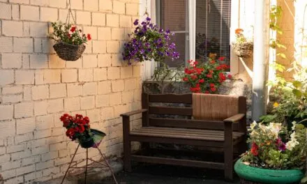 Styczniowy wysiew kwiatów – porady