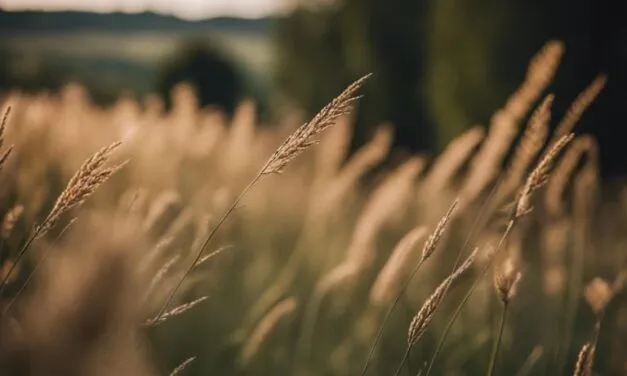 Jak Cieszyć Się Pięknem Ogrodu W Majówkę – Porady Ekologiczne