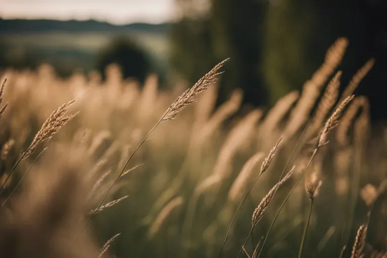 Jak Cieszyć Się Pięknem Ogrodu W Majówkę – Porady Ekologiczne