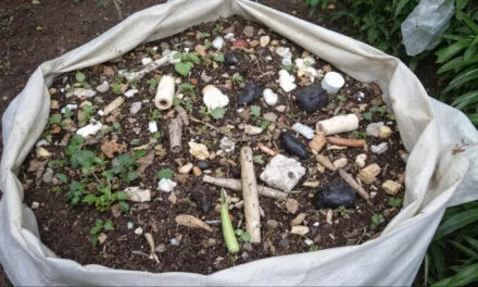 Jak zrobić własny kompostownik w domu?